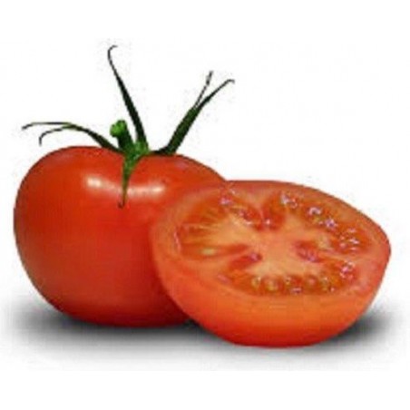 Tomaten Stukjes10 mm Biologisch 100 gram