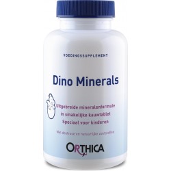Orthica Dino Minerals (kinderen)