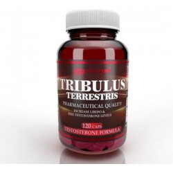 Tribulus terrestris (120 capsules) testosteron formule