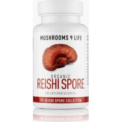 Mushrooms4Life / Reishi Spore Paddenstoel Biologisch – 60caps