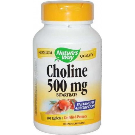 Choline, 500 mg (100 tabletten) - Nature's Way