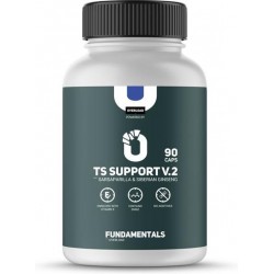 Fundamentals TS Support V2 - Siberische gingseng - Sarsaparilla - Chroom - Vitamine B - DMAE - 90 Caps - Voedingssupplement