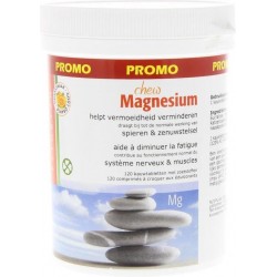Fytostar magnesiumtablet 120 st