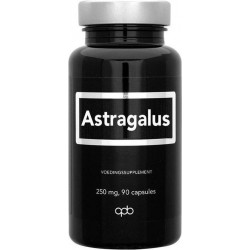 APB Holland - Astragalus - 90 capsules