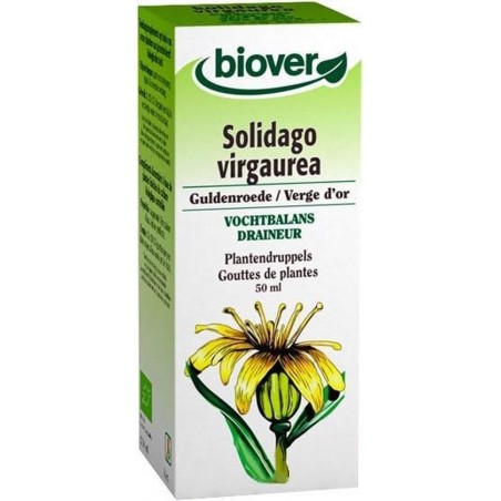 Solidago Virgaurea Biover