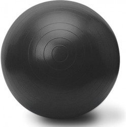 Gymball fitnessbal met pomp 65 cm