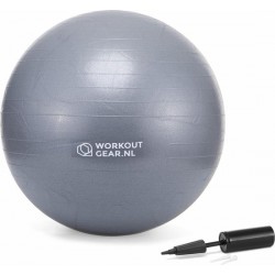 Workout Gear - Fitness Bal - Gym Ball - Yoga bal - Pilates bal - 65cm