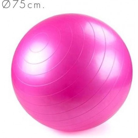 Crane - Gymnastik Ball - 75cm - Roze - Fitnessbal - Fitness - Gymball - Yoga bal
