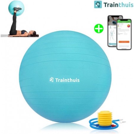 Trainthuis yoga bal - Fitness bal - Swiss Ball - Gym bal - Pilates bal - Zitbal - 65cm - incl pomp