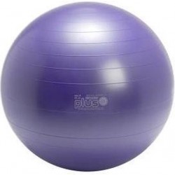 Gymnic Plus bal - Fitnessbal - Ø 65 cm - Paars