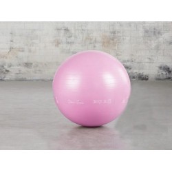 Gym Bal - Fitnessbal - Gymball - Gymnastiekbal - Ø 65 cm - Gymbal - Inclusief pomp - pink