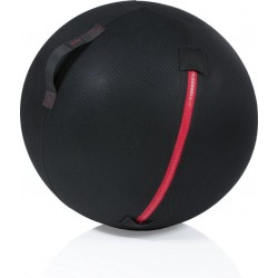 Gymstick Office Ball - 65 cm - Met Online Trainingsvideo's