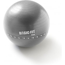 Basic-Fit Fitnessbal - Gymball - 65 cm - Vinyl - Zilver - Inclusief pomp