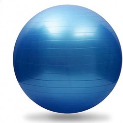 Crane - Gymnastiek Bal - Fitness - 75 cm - Blauw