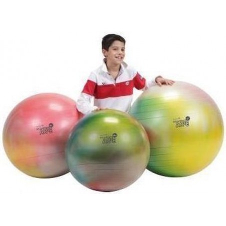 Gymnic Arte 75 BRQ - Fitnessbal en zitbal - Multicolour - Ø 75 cm