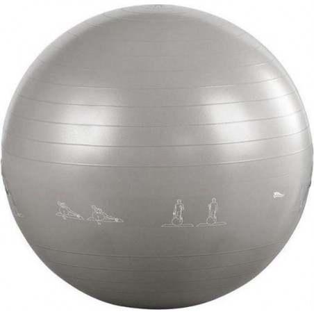 Gym Bal - Fitnessbal - Gymball - Gymnastiekbal - Ø 65 cm - Gymbal - Inclusief pomp - Grijs