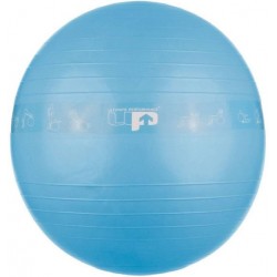 Ultimate Performance Performance Gym Ball 75 cm blauw unisex (UP3032-75)