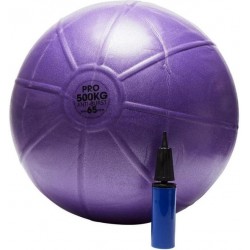Swiss Ball - 500 kg, 65 cm met pomp