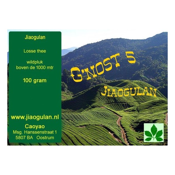 Jiaogulan 100 gram Wildpluk G'nost 5