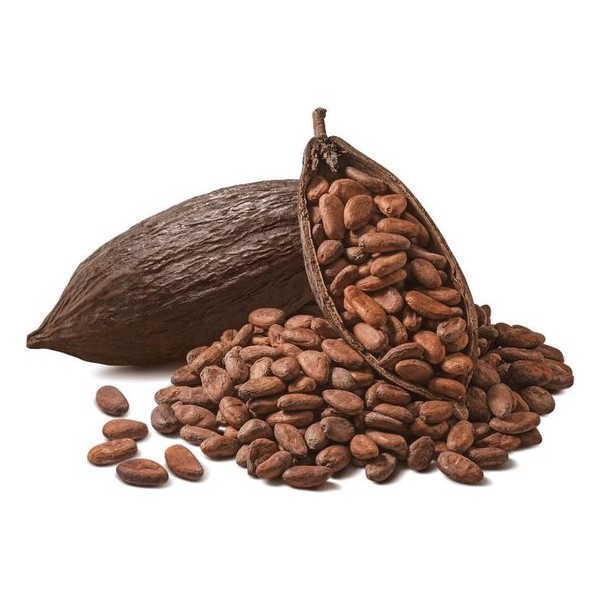 Cacaobonen Raw Biologisch 100 gram