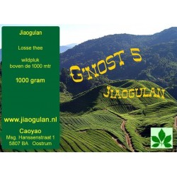 Jiaogulan 1000 gram Wildpluk G'nost 5